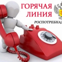 Горячая линия