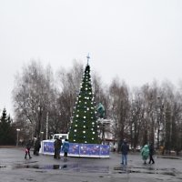 Новогодняя ель для пристенцев