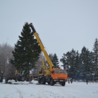 На центральной площади установлена елка